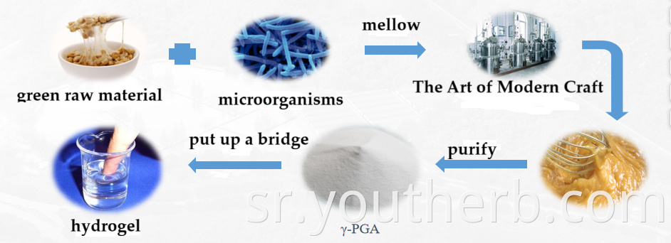 Moisturizing Cosmetic Ingredients